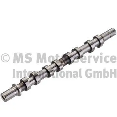 Camshaft (50006316)