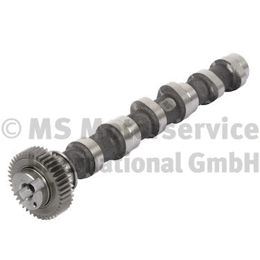 Camshaft (50007675)