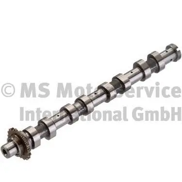 Camshaft (50007094)