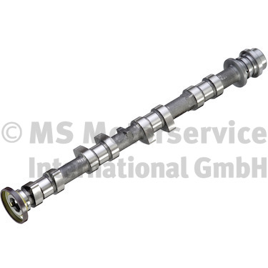 Camshaft (50007925)
