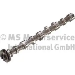 Camshaft (50007020)