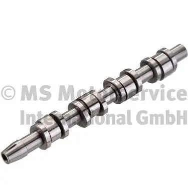 Camshaft (50006111)