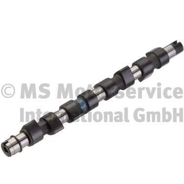 Camshaft (50007569)