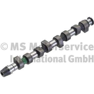 Camshaft (50006203)