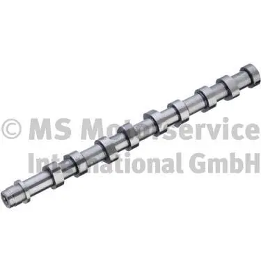 Camshaft (50007081)