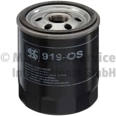 Oil Filter (50013919)
