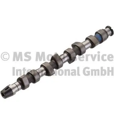 Camshaft (50006204)