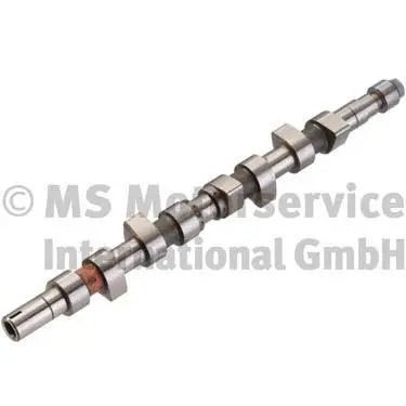 Camshaft (50006277)