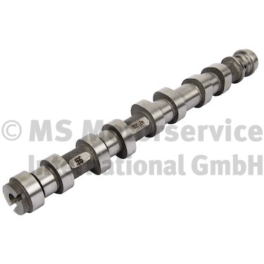 Camshaft (50007935)