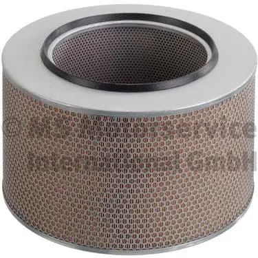 Air Filter (50013600)