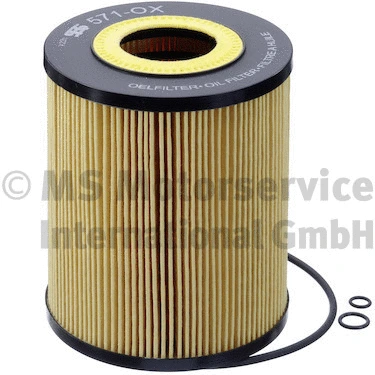Oil Filter (50013571)