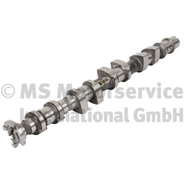 Camshaft (50007928)