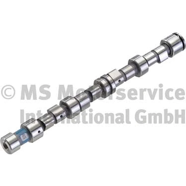 Camshaft (50006293)