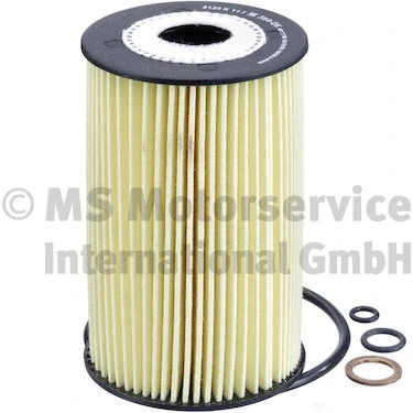 Oil Filter (50013564)