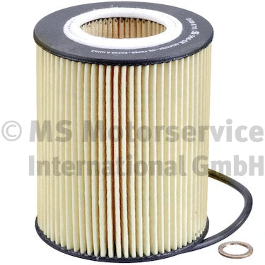 Oil Filter (50013566)