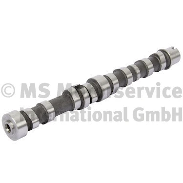 Camshaft (50007800)