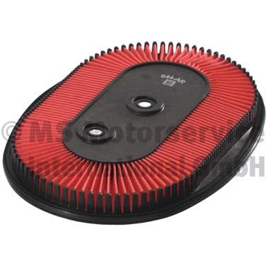 Air Filter (50013844)