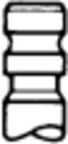 Intake Valve (50017789)