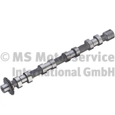 Camshaft (50007010)