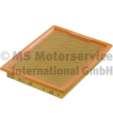 Air Filter (50013811)