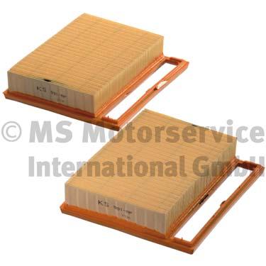 Air Filter (50013991)