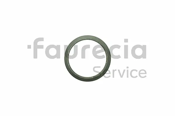 Seal Ring, exhaust pipe (AA96503)