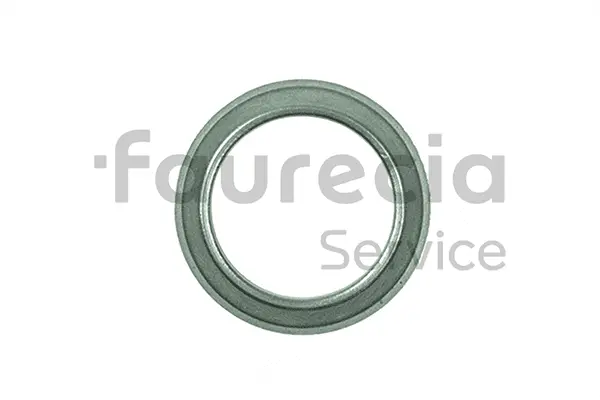 Seal Ring, exhaust pipe (AA96516)