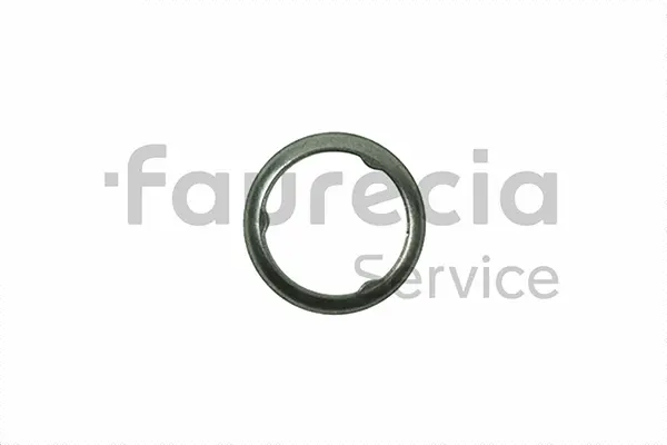 Seal Ring, exhaust pipe (AA96542)
