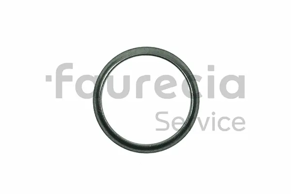 Seal Ring, exhaust pipe (AA96509)