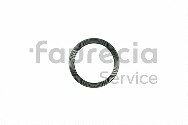 Seal Ring, exhaust pipe (AA96008)