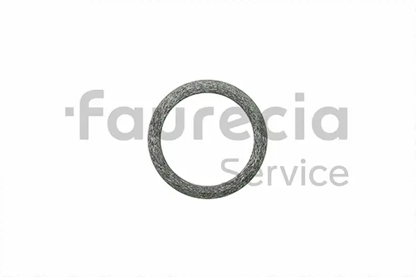Seal Ring, exhaust pipe (AA96524)