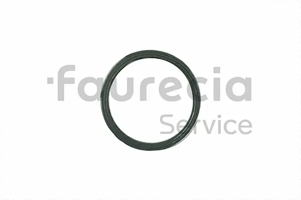 Seal Ring, exhaust pipe (AA96548)