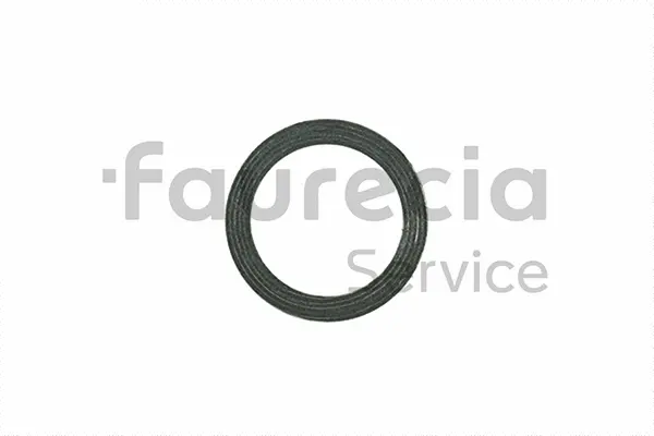 Seal Ring, exhaust pipe (AA96672)