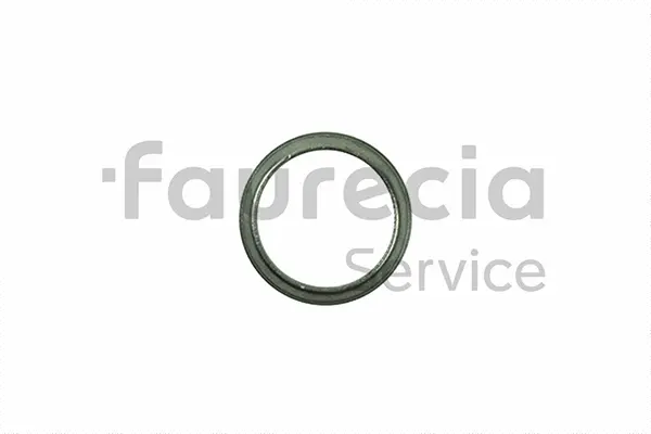 Seal Ring, exhaust pipe (AA96560)