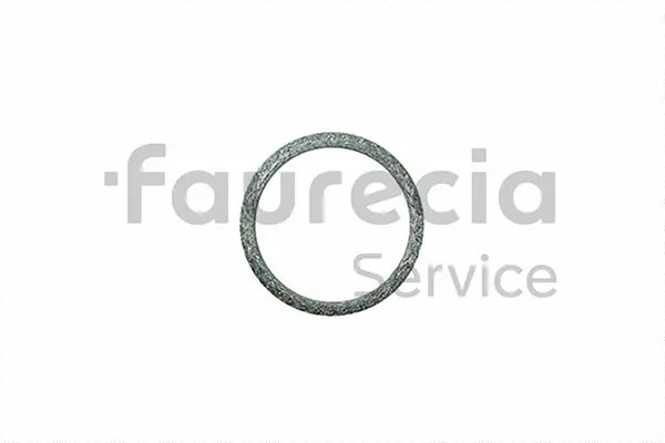 Seal Ring, exhaust pipe (AA96545)