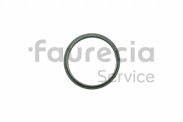 Seal Ring, exhaust pipe (AA96534)