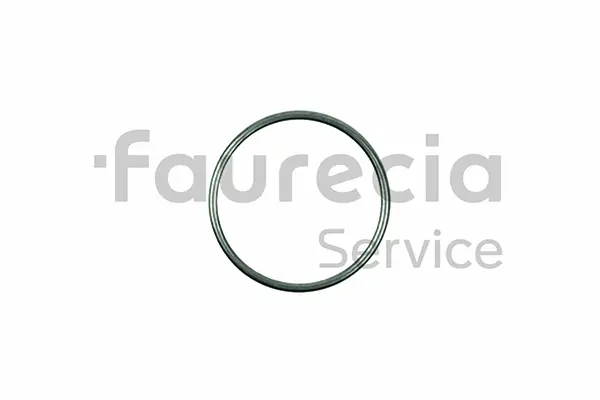 Seal Ring, exhaust pipe (AA96621)