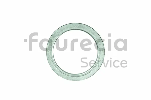 Seal Ring, exhaust pipe (AA96506)