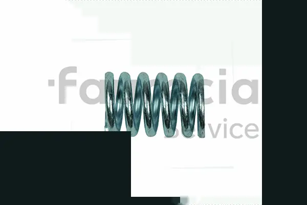 Spring, exhaust pipe (AA98001)