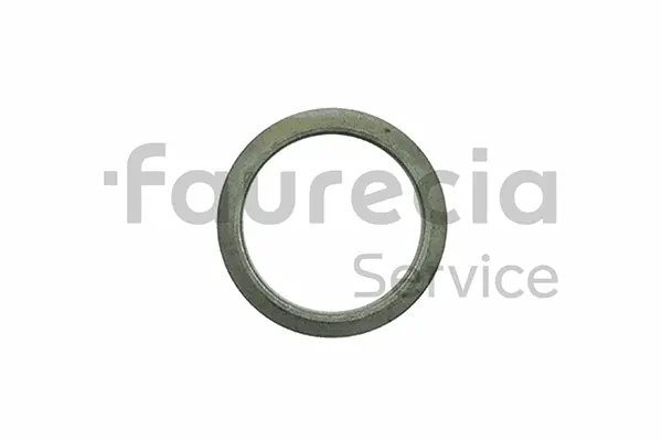 Seal Ring, exhaust pipe (AA96501)