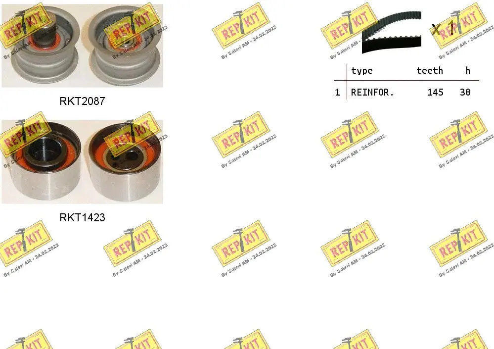 Timing Belt Kit (RKTK1069)