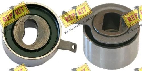 Alternator Freewheel Clutch (RKT3684)