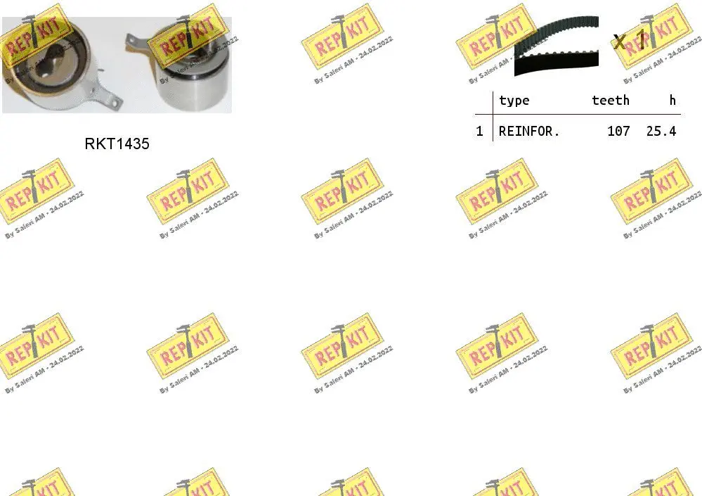 Timing Belt Kit (RKTK0904)