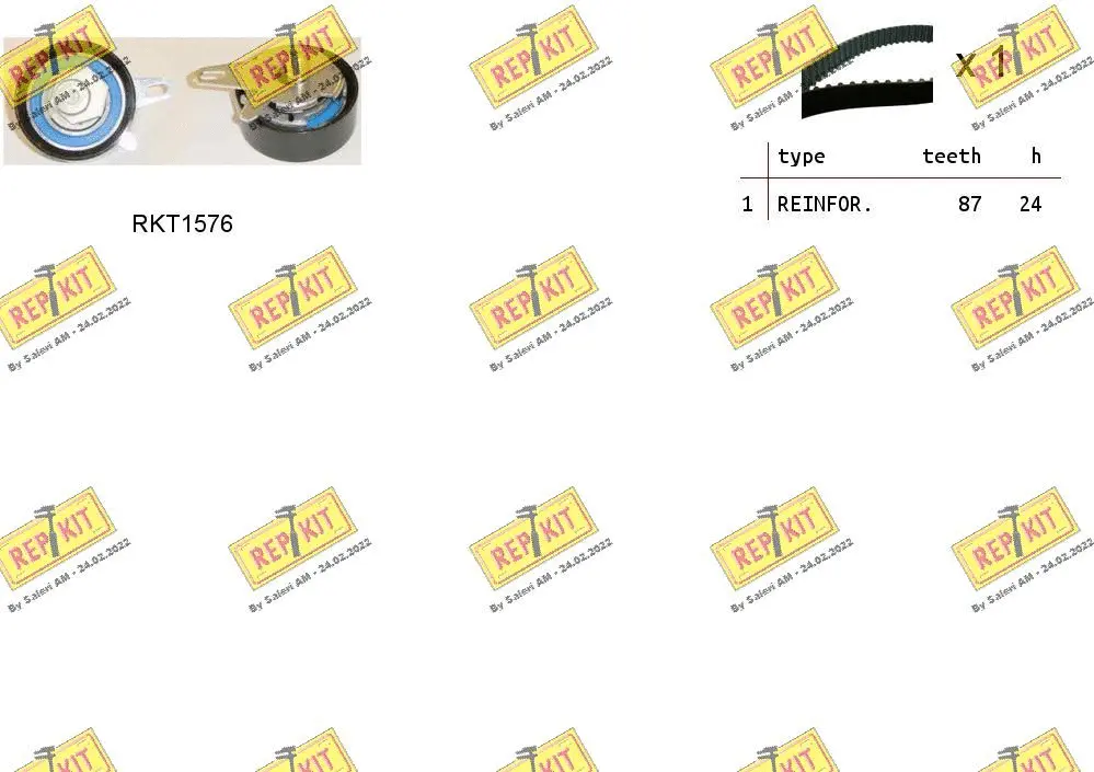 Timing Belt Kit (RKTK1076)
