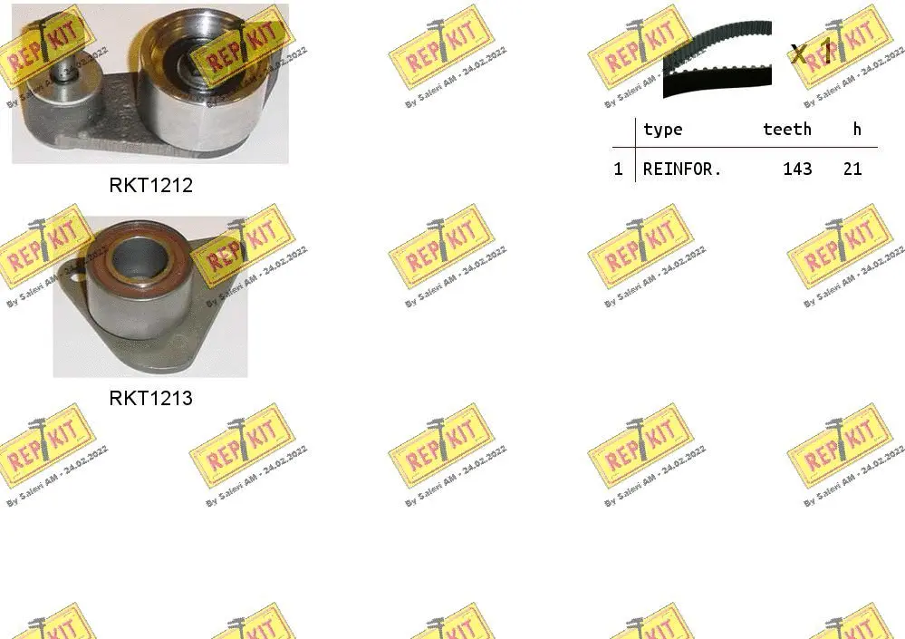 Timing Belt Kit (RKTK1009)