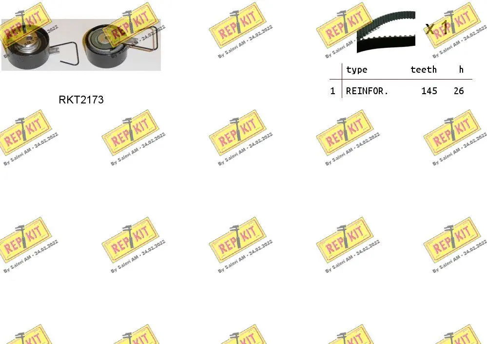 Timing Belt Kit (RKTK0954)