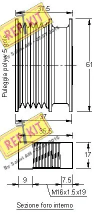 Alternator Freewheel Clutch