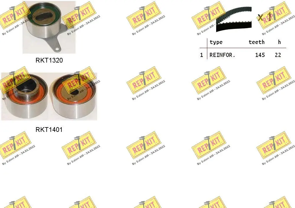 Timing Belt Kit (RKTK1000)