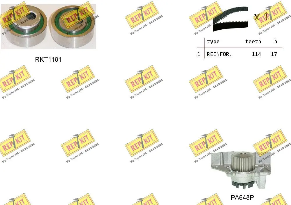Water Pump & Timing Belt Kit (RKTK1022PA)
