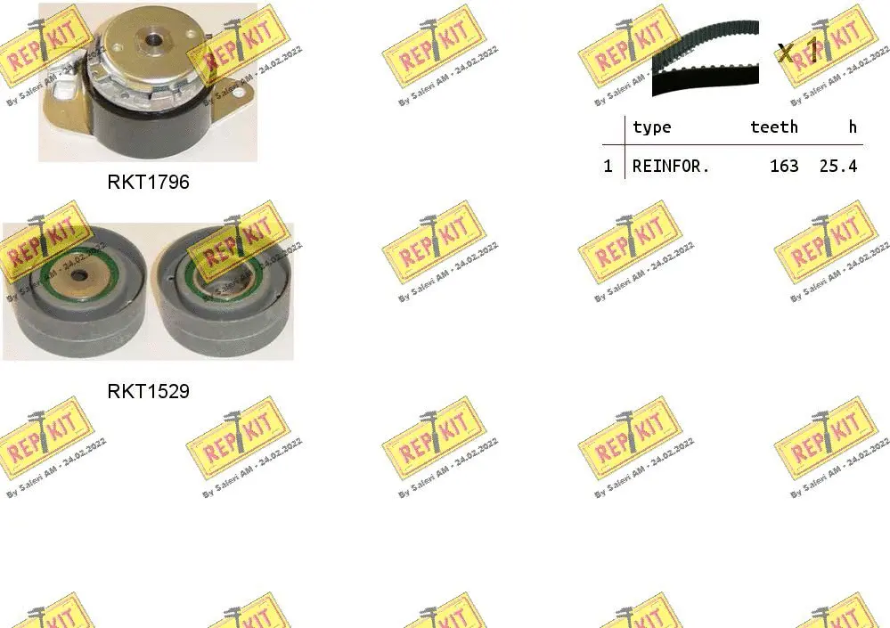 Timing Belt Kit (RKTK0905)